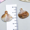 Yellow Shell