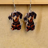 Dachshund