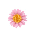 Sunflower Enamel Six Designs Metal Brooch Pin for Jackets and Lapels view 9