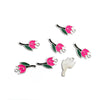 Rose Tulip