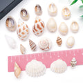 Metallic Seashell Shell Charms with 20 Listed Options view 3