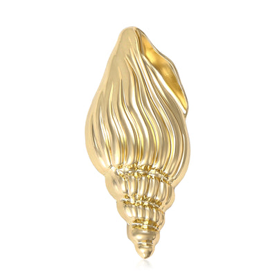 Gold polished conch shell brooch front on white