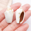 Brown Seashell 3
