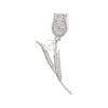 Silver Tulip