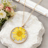 Yellow Chrysanthemum