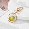 Yellow Daisy