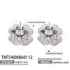 Steel Earrings