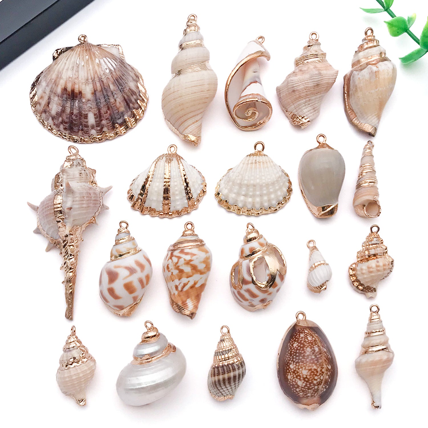 Gold Plated Acrylic Shell Conch Bead Charm Pendant for DIY Necklace Earrings Wind Chime