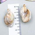 Beige Seashell and Starfish Shell Charms with 38 Listed Options view 10