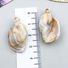 Yellow Seashell 4