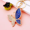 Blue Patterned-Butterfly
