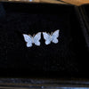 Blue Butterfly