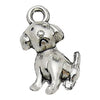Gray Dog 4