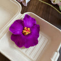 Six Color Large Artificial Hibiscus Duckbill Hair Clip Assortment view 10