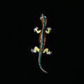 Enamel Gecko Brooch Rhinestone Spine Blue Brown Styles view 2