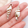Brown Seashell 6