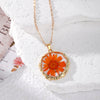 Orange Daisy