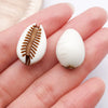Brown Seashell 2