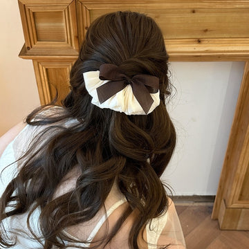Brown Bow Pleated Satin Spring Hair Clips Two Colors