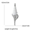 White Shell