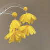 Yellow Petal