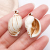 Brown Seashell 8