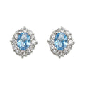 Silver Tone Pale Blue Oval Stone And Clear Floral Halo Stud Earrings view 5