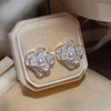 Silver Clip On