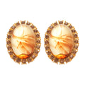 Amber Brown Oval Resin Stud Earrings with Crystal Borders view 5