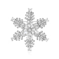 Rhinestone Snowflake Brooch Clear Crystal Winter Pin view 2