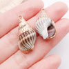 Red Seashell 2