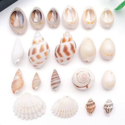 Metallic seashell charms arranged on a light background