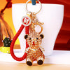 Red-Fortune Champagne-Sitting-Bear