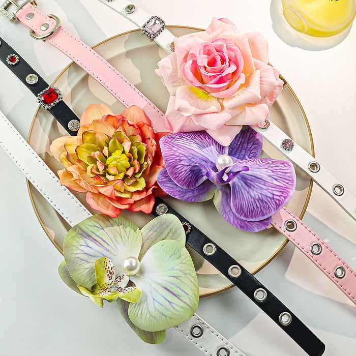 Eight Oversized Flower Buckled Decorative Pet Collars