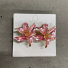 Pink Iris