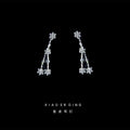 Silver Crystal Zodiac Constellation Stud Earrings Signs view 7