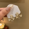 Clear Butterfly