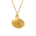 Scallop Shell Pendant Necklace Satellite Chain Gold Rose view 5