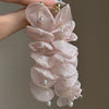Pink Petal