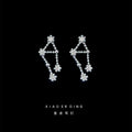 Silver Crystal Zodiac Constellation Stud Earrings Signs view 12