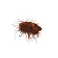 Feather Twist Hair Clip Fluffy Mesh Fabric Base 3 Colors view 5
