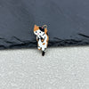 Calico Cat