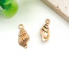 White Seashell