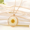 White Daisy