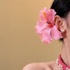 Pink Hibiscus