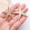 Brown Starfish 3
