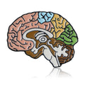 Colorful Anatomical Brain Brooch With Polished Metal And Sculpted Decorative Details view 5