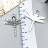 Gray Dragonfly