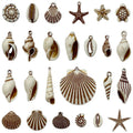 Brown Seashell and Starfish Shell Charms with 81 Listed Options view 5