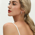 Silver Tone Round CZ Pave Lever Back Drop Earrings view 4